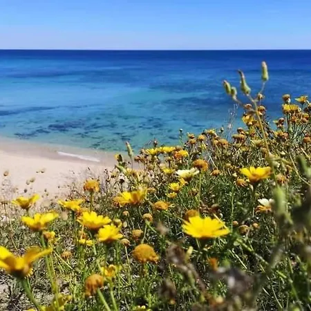 Σπίτι διακοπών La Casa Di Lucy