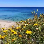 Tatil Evi La Casa Di Lucy