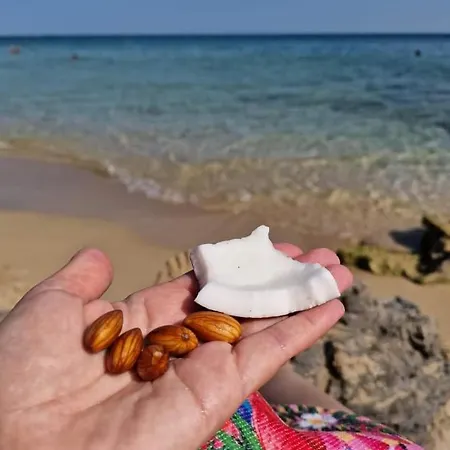 La Casa Di Lucy Tatil Evi