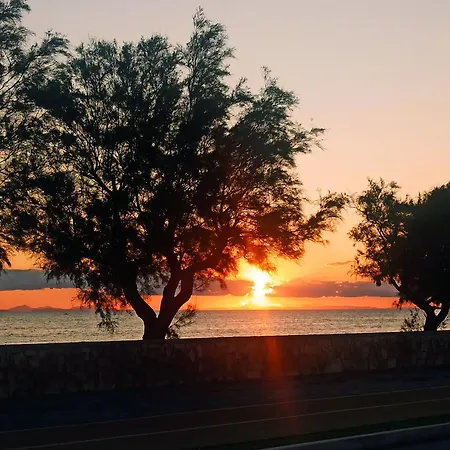 La Casa Di Lucy Torre Ovo